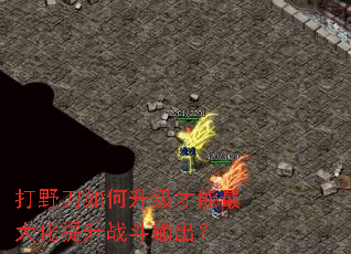 ��Ұ��������������������ս�������