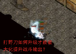 ��Ұ��������������������ս�������