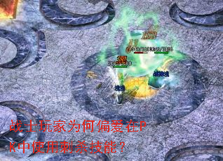 սʿ���Ϊ��ƫ����PK��ʹ�ô�ɱ���ܣ�