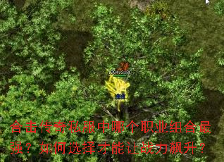 �ϻ�����˽�����ĸ�ְҵ�����ǿ�����ѡ�������ս�������