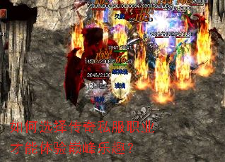 ���ѡ����˽��ְҵ���������۷���Ȥ��