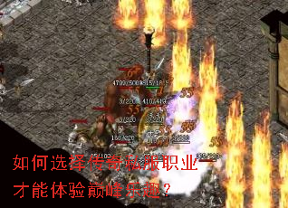 ���ѡ����˽��ְҵ���������۷���Ȥ��