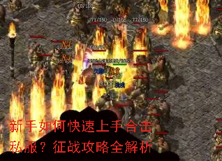 ������ο������ֺϻ�˽������ս����ȫ����