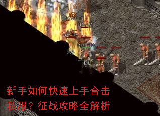 ������ο������ֺϻ�˽������ս����ȫ����