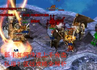 ������ο������ֺϻ�˽������ս����ȫ����