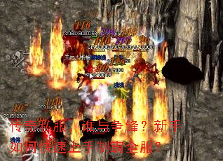 ����˽����˭�����棿������ο��������ư�ȫ����