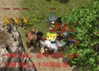 ����˽����˭�����棿������ο��������ư�ȫ����