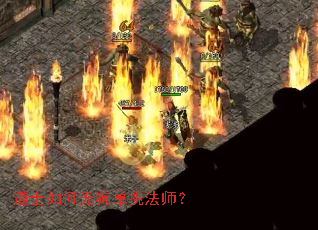 ��ʿ����޹�������ʦ��