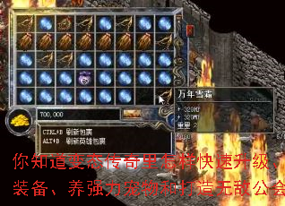 ��֪����̬��������������������ˢ��Ʒװ������ǿ������ʹ����޵й�����