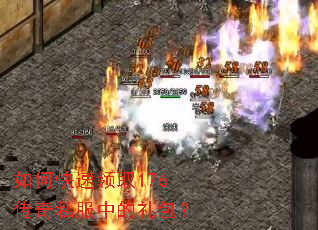 ��ο�����ȡ176����˽���е������