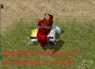 ��������̬����˽����ô�棿������ο������Ų���ͨ��