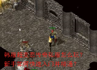 ��������̬����˽����ô�棿������ο������Ų���ͨ��