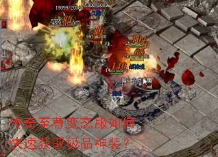 ���������̬����ο��ٻ�ȡ��Ʒ��װ��