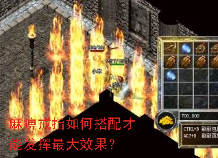 麻痹戒指如何搭配才能发挥最大效果? 麻痹戒指如何搭配才能发挥最大效果?