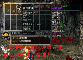 ��ְҵװ�����ѡ�񣿴���˽����ǿװ���Ƽ���