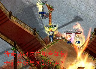 ����˽������������ȫ�������ʵս���ã�