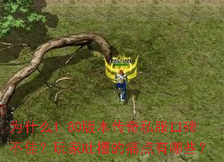 Ϊʲô1.80�汾����˽���ڱ����ѣ�����²۵�ʹ������Щ��