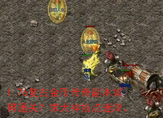 1.76复古金币传奇副本如何通关?求大神指点迷津。 1.76复古金币传奇副本如何通关?求大神指点迷津。