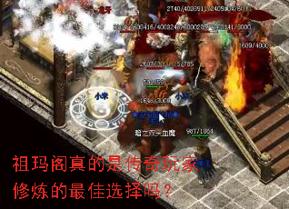 ���������Ǵ���������������ѡ����