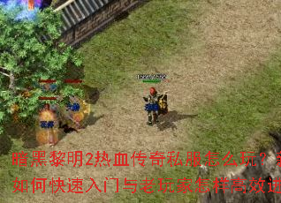 ��������2��Ѫ����˽����ô�棿������ο��������������������Ч���ף�