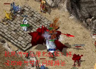 ��紫��˽����ô�棿�ռ������볣��������