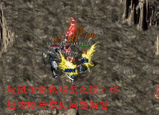 ��紫��˽����ô�棿�ռ������볣��������