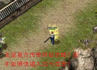 ʥ�ʸ��Ŵ����ռ����ԣ�������ο��������ɳ���