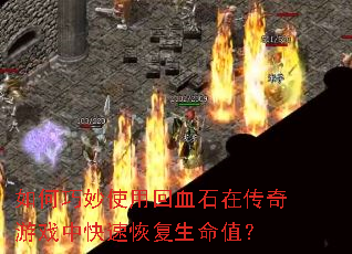 �������ʹ�û�Ѫʯ�ڴ�����Ϸ�п��ٻָ�����ֵ��