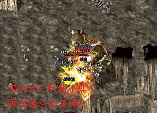 ����ƶ���������ο�����Ϯ����