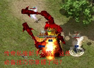 ����˽�����ֹ��ԣ���Щ�ر���������������