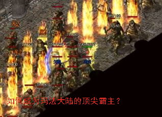 ��γ�Ϊ�귨��½�Ķ��������