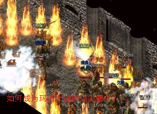 ��γ�Ϊ�귨��½�Ķ��������