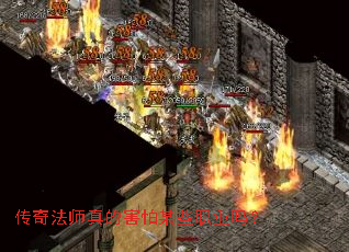 ���淨ʦ��ĺ���ĳЩְҵ��