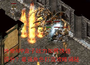 ����APP����ս����ο�����������ǿ��ɫ���칥�Խ���