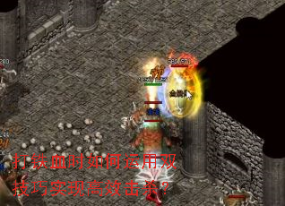 ����Ѫʱ�������˫����ʵ�ָ�Ч��ɱ��