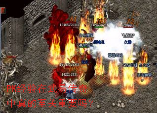 PK���������״��������������Ҫ��