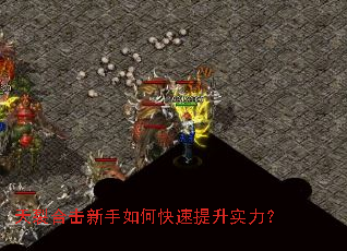 ���Ѻϻ�������ο�������ʵ����