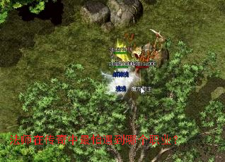 ��ʦ�ڴ��������������ĸ�ְҵ��