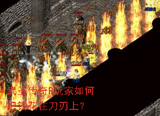 ��ʥ����R�����ΰ�Ǯ���ڵ����ϣ�