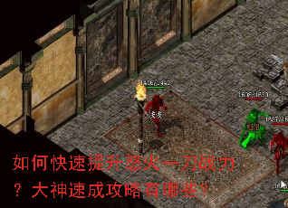 ��ο�������ŭ��һ��ս���������ٳɹ�������Щ��