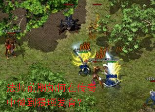 ��ʦǰ������ڴ������������������