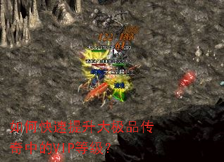 ��ο���������Ʒ�����е�VIP�ȼ���