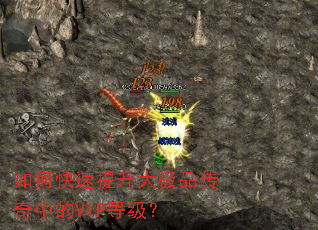 ��ο���������Ʒ�����е�VIP�ȼ���