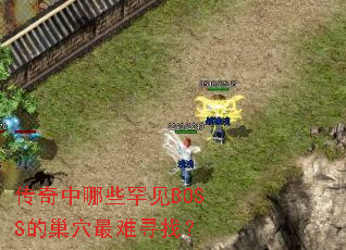 传奇中哪些罕见BOSS的巢穴最难寻找? 传奇中哪些罕见BOSS的巢穴最难寻找?