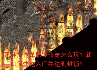 ������ٵ�ְҵ������ô�棿������ο������Ų��ﵽ�ⶥ��