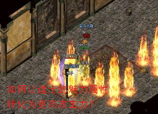 ����õ�ʿ����������ת��Ϊ���߹�������