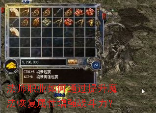 法师职业如何通过提升魔法恢复属性增强战斗力? 法师职业如何通过提升魔法恢复属性增强战斗力?