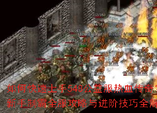 ��ο�������548�������Ѫ���棿�����ư�ȫ����������׼���ȫ����