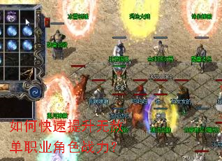 ��ο����������ⵥְҵ��ɫս����