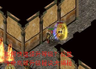 ��ο��������ȼ������洫���Ч�����ؾ������